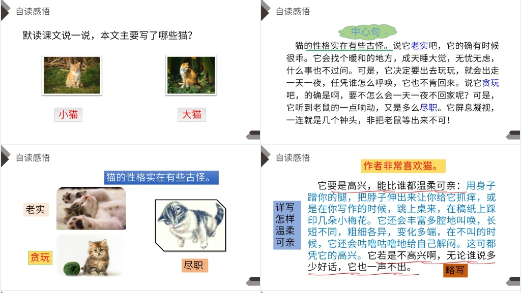 人教版四年级语文上册《猫》PPT课件 人教版四年级语文上册《猫》PPT课件