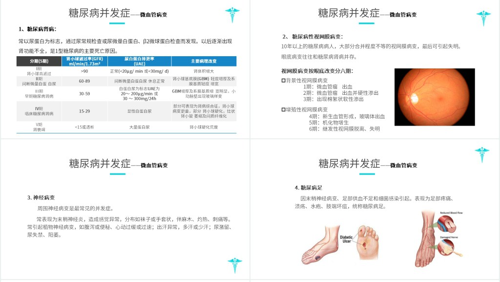 糖尿病日科普宣传PPT 糖尿病日科普宣传PPT