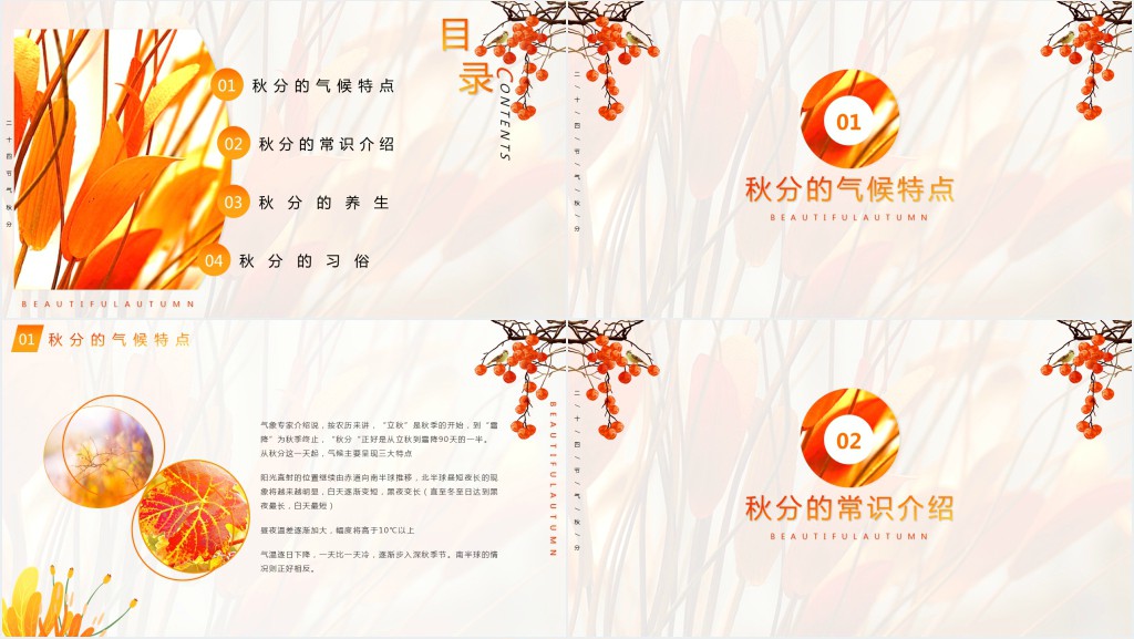 秋分气候特点习俗PPT模板 秋分气候特点习俗PPT模板