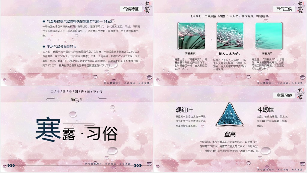 24节气寒露介绍PPT 24节气寒露介绍PPT