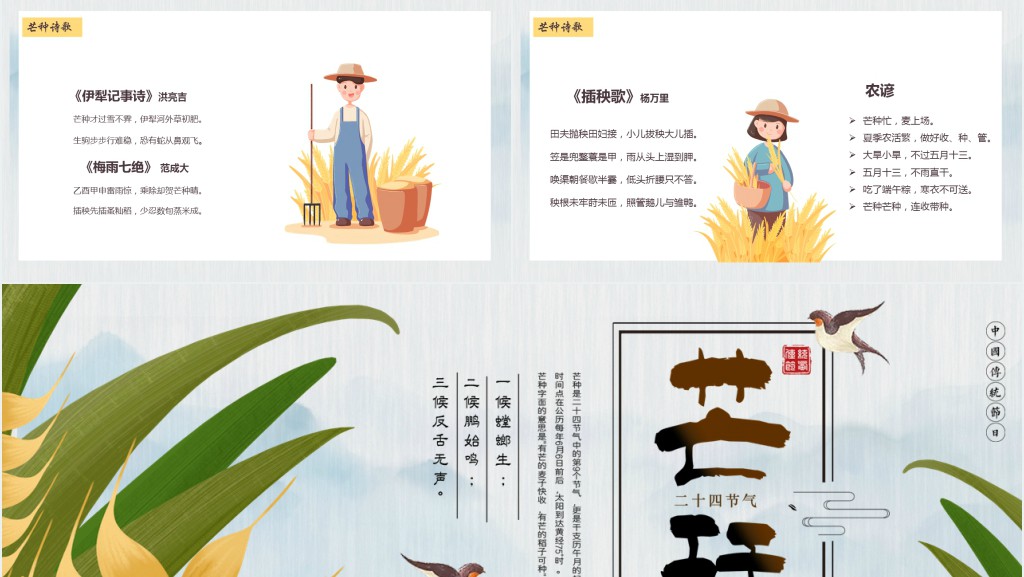 芒种节气小常识PPT模板 芒种节气小常识PPT模板
