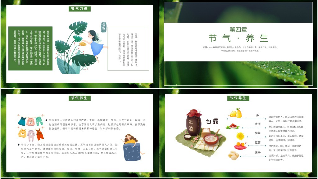 白露节气简单介绍PPT模板 白露节气简单介绍PPT模板