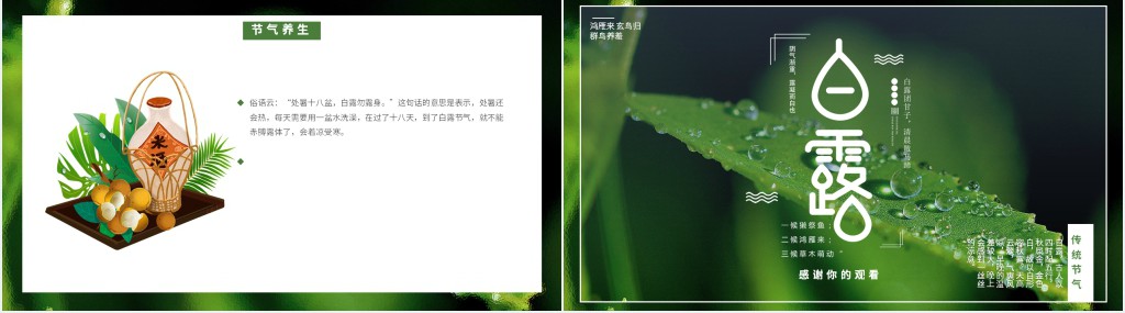 白露节气简单介绍PPT模板 白露节气简单介绍PPT模板
