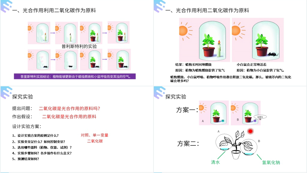 人教版七年级初一上册生物《光合作用吸收二氧化碳释放氧气》PPT课件 人教版七年级初一上册生物《光合作用吸收二氧化碳释放氧气》PPT课件