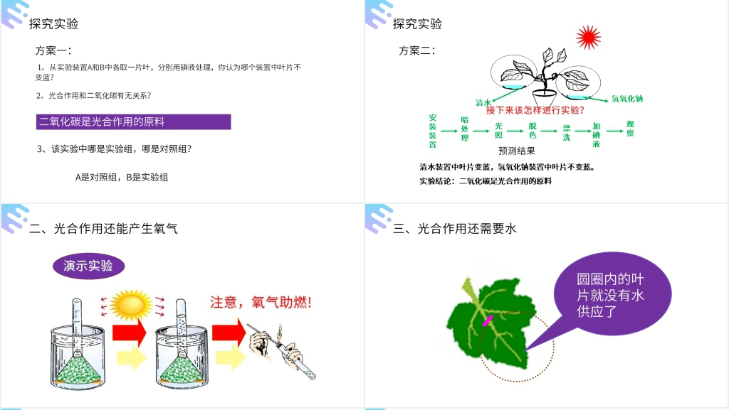 人教版七年级初一上册生物《光合作用吸收二氧化碳释放氧气》PPT课件 人教版七年级初一上册生物《光合作用吸收二氧化碳释放氧气》PPT课件