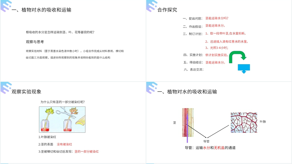 人教版七年级初一上册生物《绿色植物与生物圈的水循环》PPT课件 人教版七年级初一上册生物《绿色植物与生物圈的水循环》PPT课件