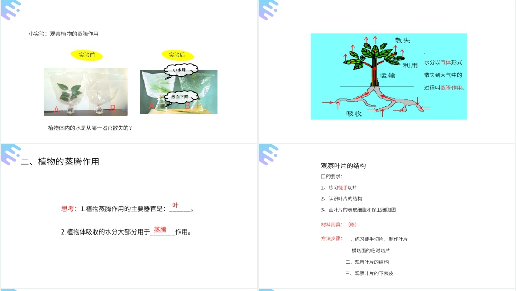 人教版七年级初一上册生物《绿色植物与生物圈的水循环》PPT课件 人教版七年级初一上册生物《绿色植物与生物圈的水循环》PPT课件