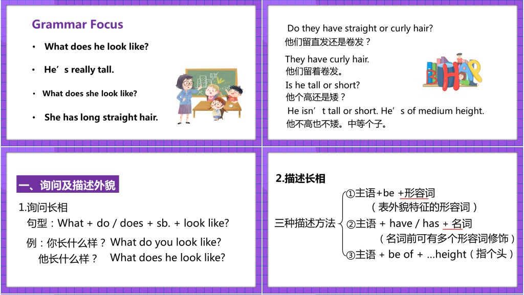 what does he look like第二课时PPT课件