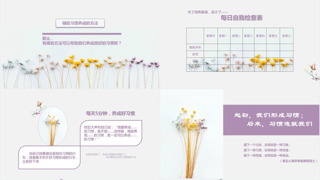 小清新主题班会PPT - 习惯的力量PPT课件