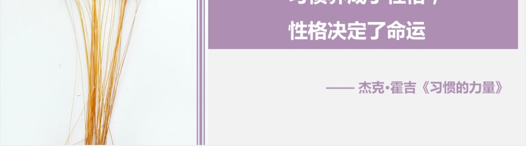 小清新主题班会PPT - 习惯的力量PPT课件