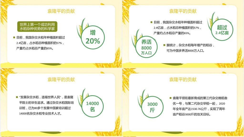 济天下精神永传传承杂交水稻之父—袁隆平PPT课件