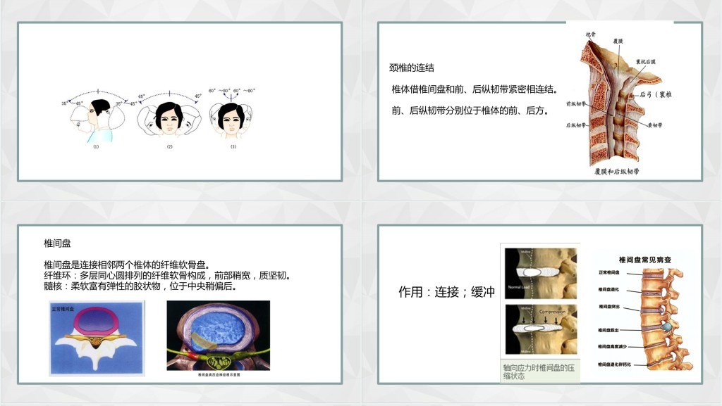颈椎病发病原因及治疗PPT模板 颈椎病发病原因及治疗PPT模板