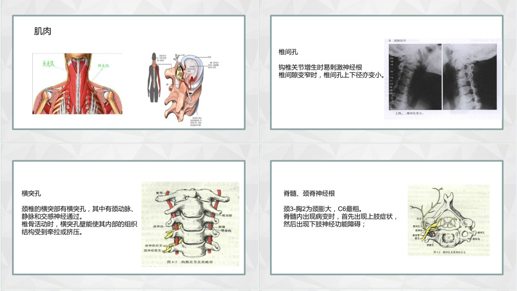 颈椎病发病原因及治疗PPT模板 颈椎病发病原因及治疗PPT模板