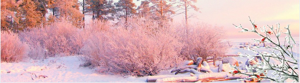 关于大雪节气的文化知识PPT模板 关于大雪节气的文化知识PPT模板