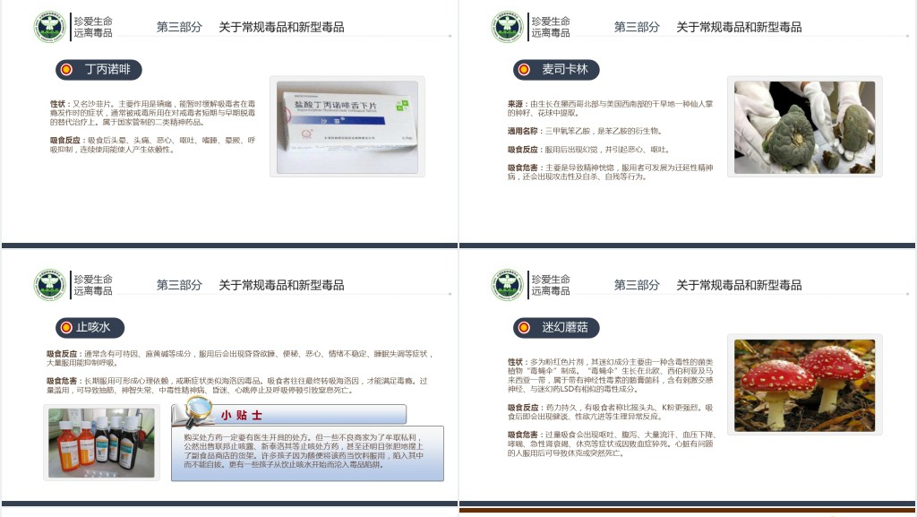 国际禁毒日基本知识讲座PPT课件 国际禁毒日基本知识讲座PPT课件