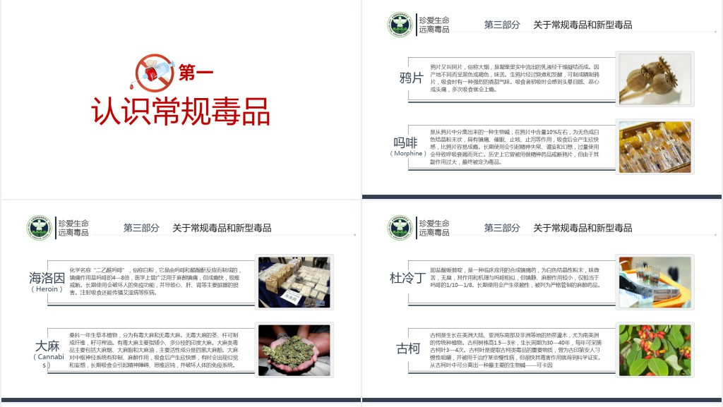 国际禁毒日基本知识讲座PPT课件 国际禁毒日基本知识讲座PPT课件