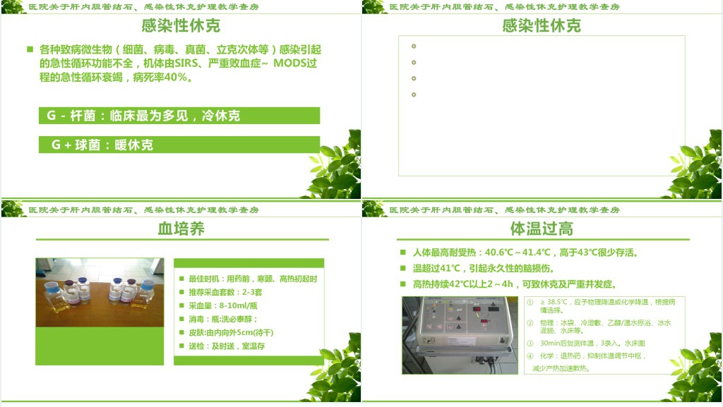 感染性休克的护理措施PPT模板 感染性休克的护理措施PPT模板