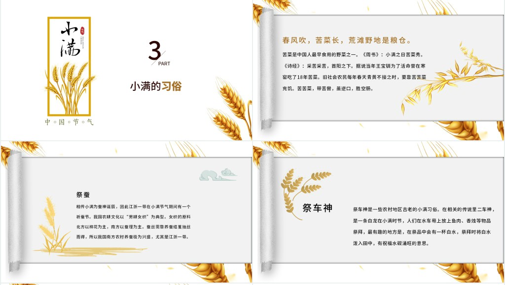 小满的特点和风俗由来PPT模板 小满的特点和风俗由来PPT模板