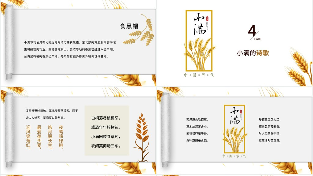 小满的特点和风俗由来PPT模板 小满的特点和风俗由来PPT模板