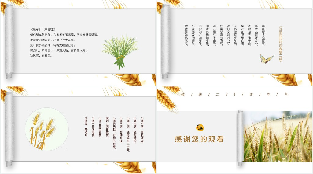 小满的特点和风俗由来PPT模板 小满的特点和风俗由来PPT模板