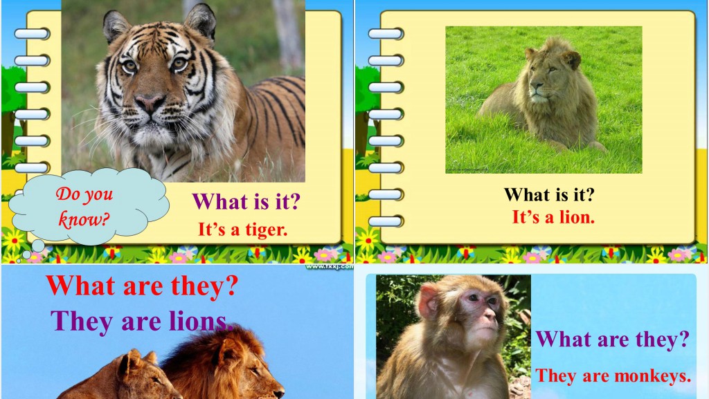 They are monkeys英语PPT课件 They are monkeys英语PPT课件