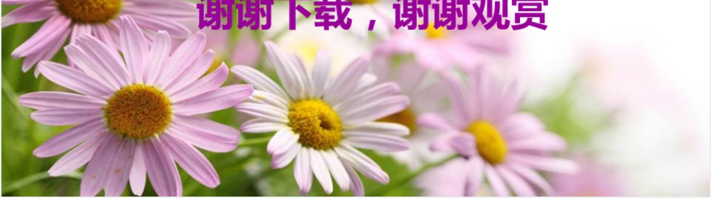 青春回忆纪念相册PPT模板 青春回忆纪念相册PPT模板