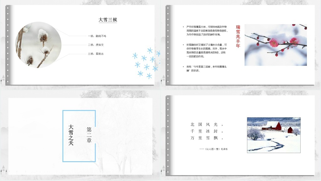 简约大雪节气的节日介绍PPT模板 简约大雪节气的节日介绍PPT模板