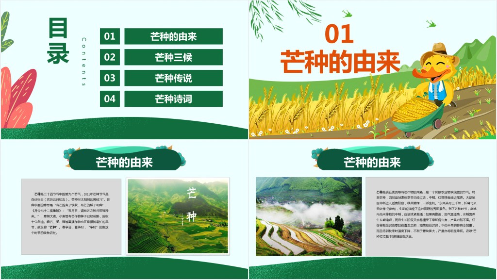 小学生芒种节气的介绍PPT课件 小学生芒种节气的介绍PPT课件