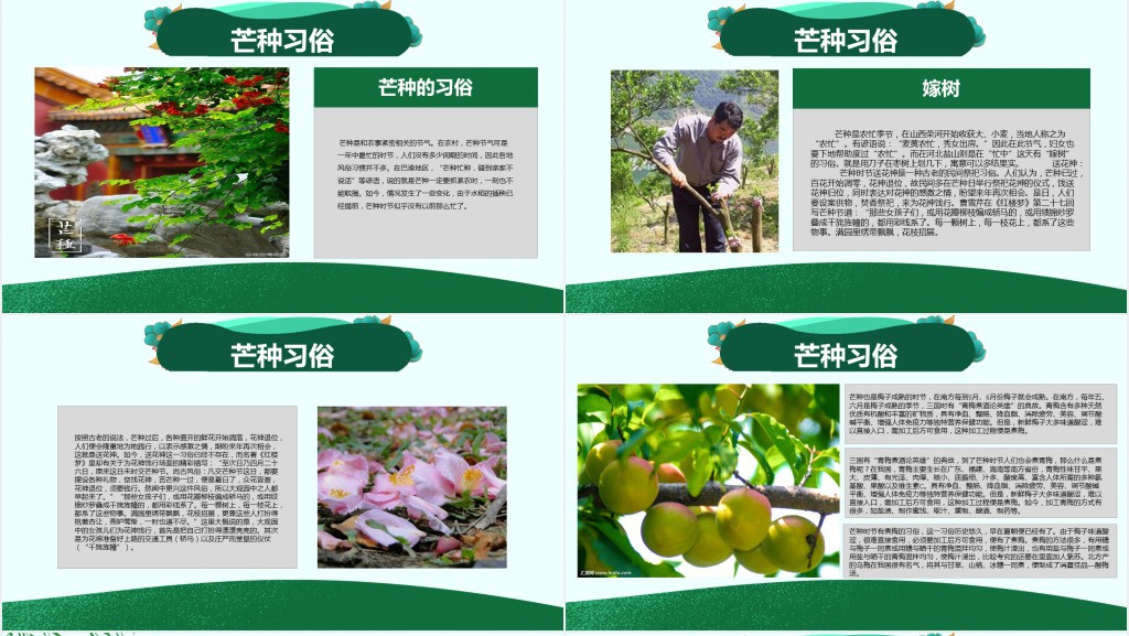 小学生芒种节气的介绍PPT课件 小学生芒种节气的介绍PPT课件