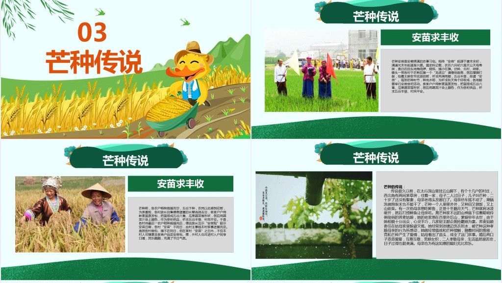 小学生芒种节气的介绍PPT课件 小学生芒种节气的介绍PPT课件