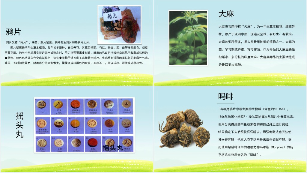 学校开展青春无毒健康生活主题班会PPT课件