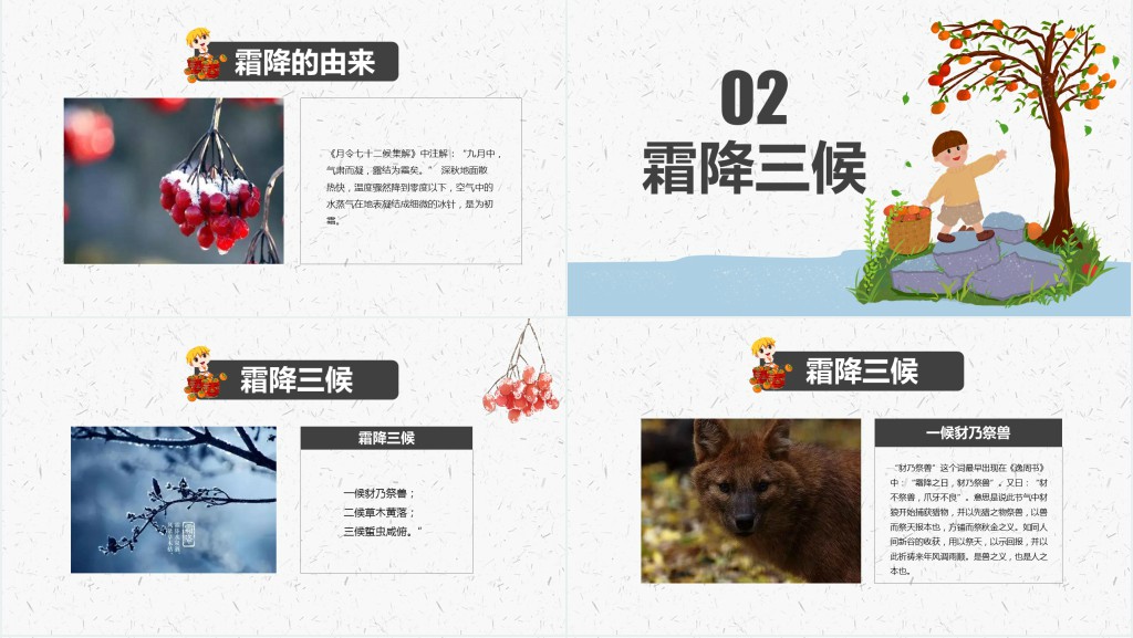 霜降节气风俗习俗知识PPT模板 霜降节气风俗习俗知识PPT模板