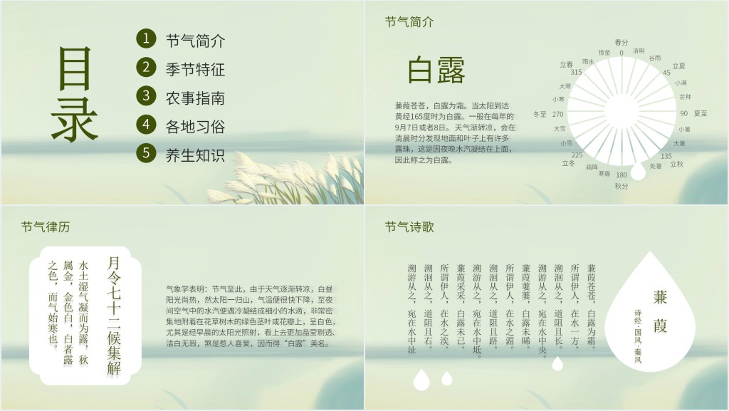白露节气知识科普教育PPT课件