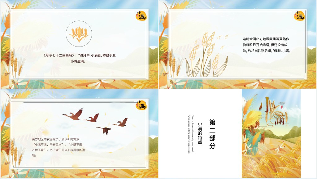 小满节气的特点和风俗由来简介PPT模板 小满节气的特点和风俗由来简介PPT模板