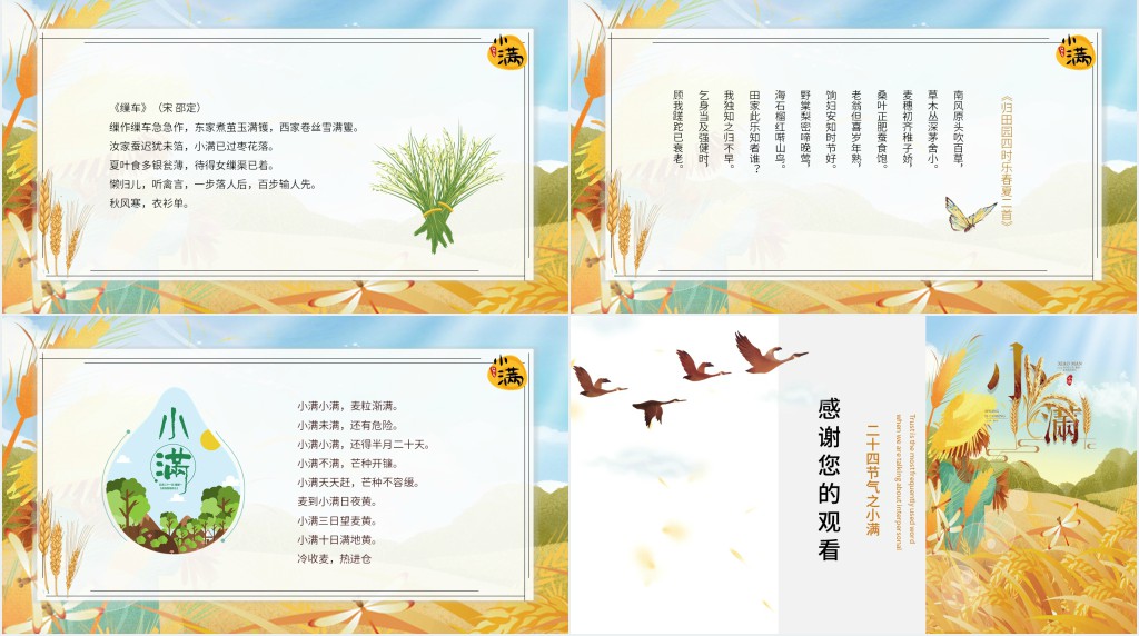小满节气的特点和风俗由来简介PPT模板 小满节气的特点和风俗由来简介PPT模板