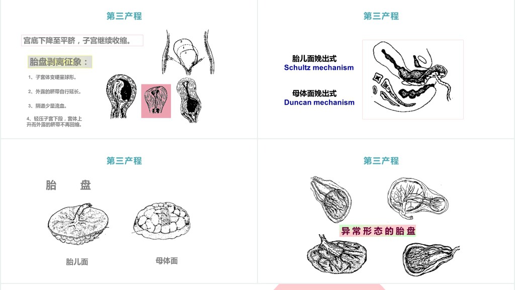 分娩期妇女的护理讲课PPT课件 分娩期妇女的护理讲课PPT课件