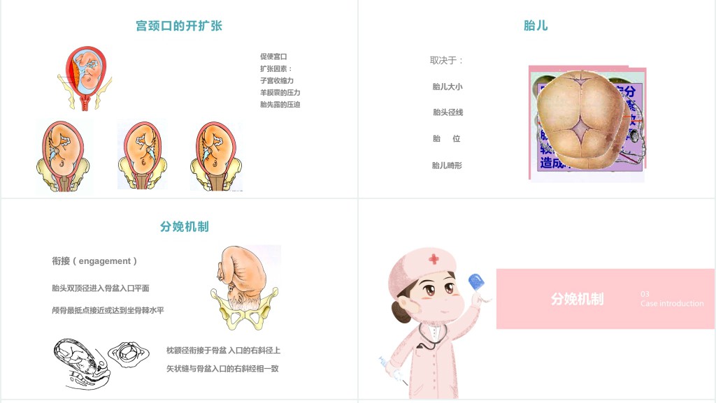 分娩期妇女的护理讲课PPT课件 分娩期妇女的护理讲课PPT课件