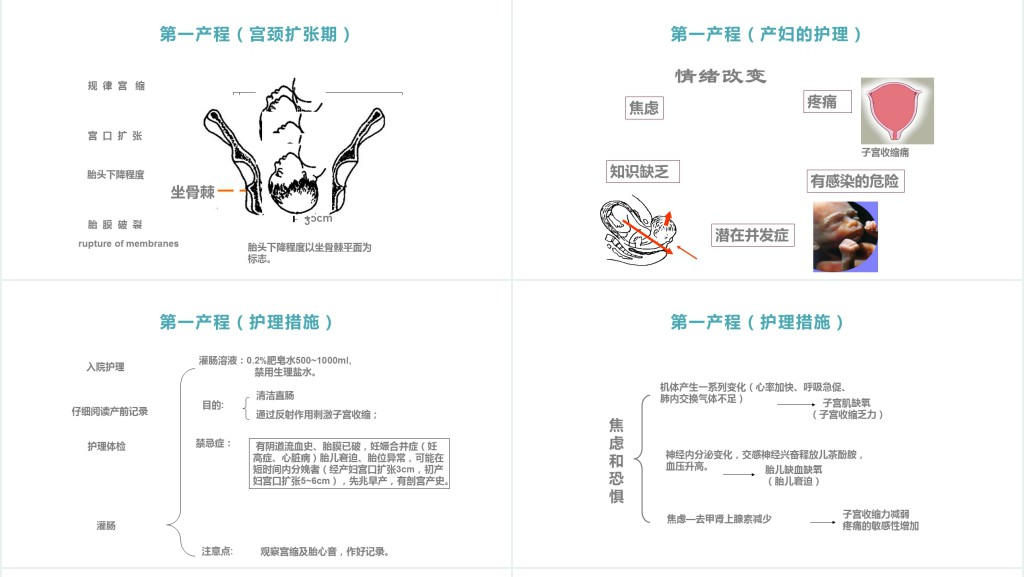 分娩期妇女的护理讲课PPT课件 分娩期妇女的护理讲课PPT课件