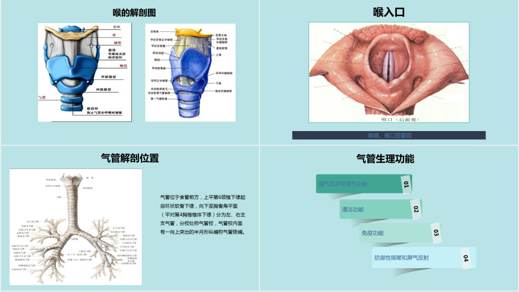 气管切开术后患者护理查房PPT模板 气管切开术后患者护理查房PPT模板