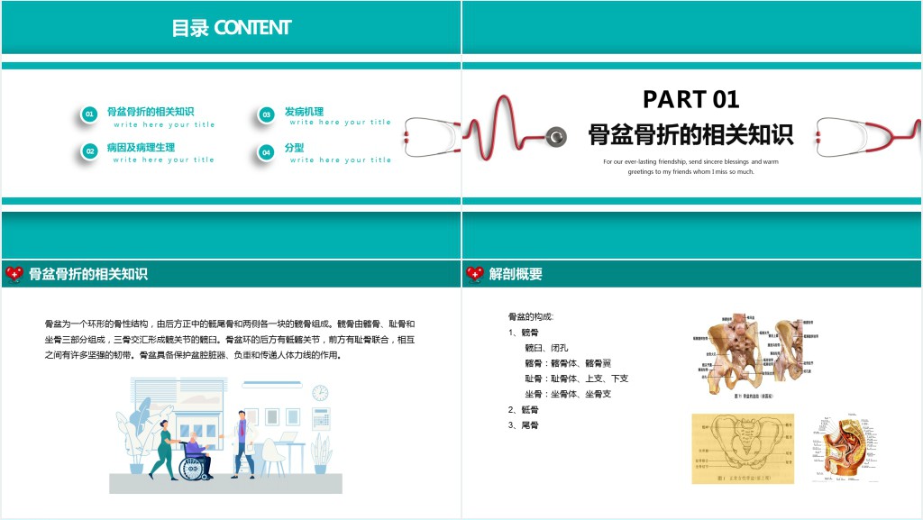 骨盆骨折病人护理查房PPT模板 骨盆骨折病人护理查房PPT模板