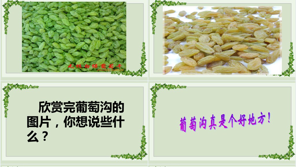 部编人教版小学二年级语文上册葡萄沟PPT课件 部编人教版小学二年级语文上册葡萄沟PPT课件