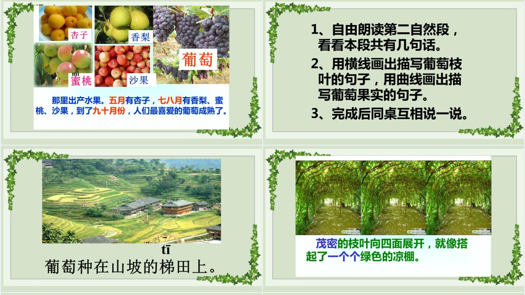 部编人教版小学二年级语文上册葡萄沟PPT课件 部编人教版小学二年级语文上册葡萄沟PPT课件