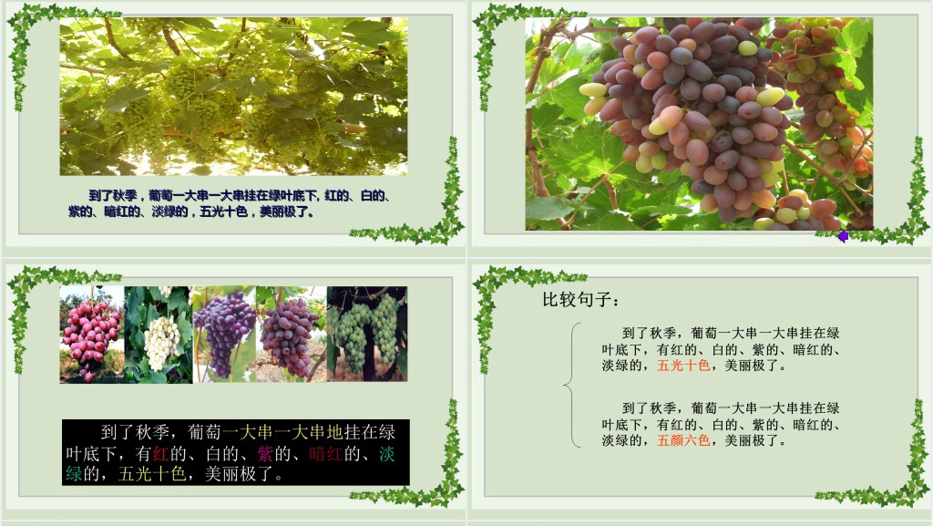 部编人教版小学二年级语文上册葡萄沟PPT课件 部编人教版小学二年级语文上册葡萄沟PPT课件