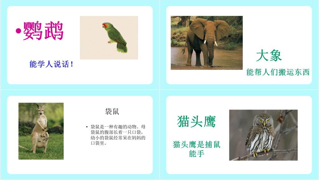 人教版小学二年级语文上册有趣的动物课文PPT课件 人教版小学二年级语文上册有趣的动物课文PPT课件