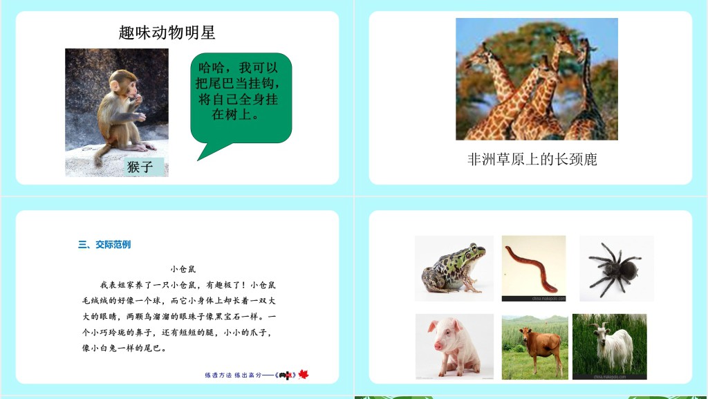 人教版小学二年级语文上册有趣的动物课文PPT课件 人教版小学二年级语文上册有趣的动物课文PPT课件