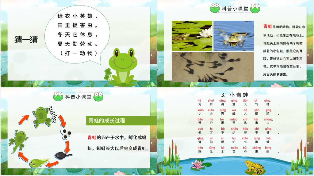 部编人教版小学一年级语文下册小青蛙PPT课件