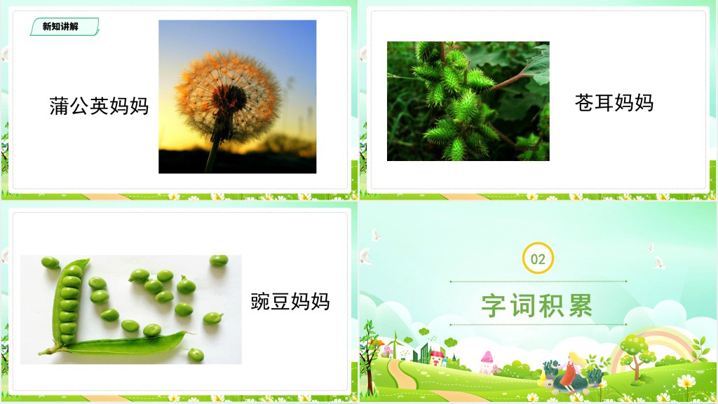 人教版小学二年级语文上册植物妈妈有办法教学教案PPT课件 人教版小学二年级语文上册植物妈妈有办法教学教案PPT课件