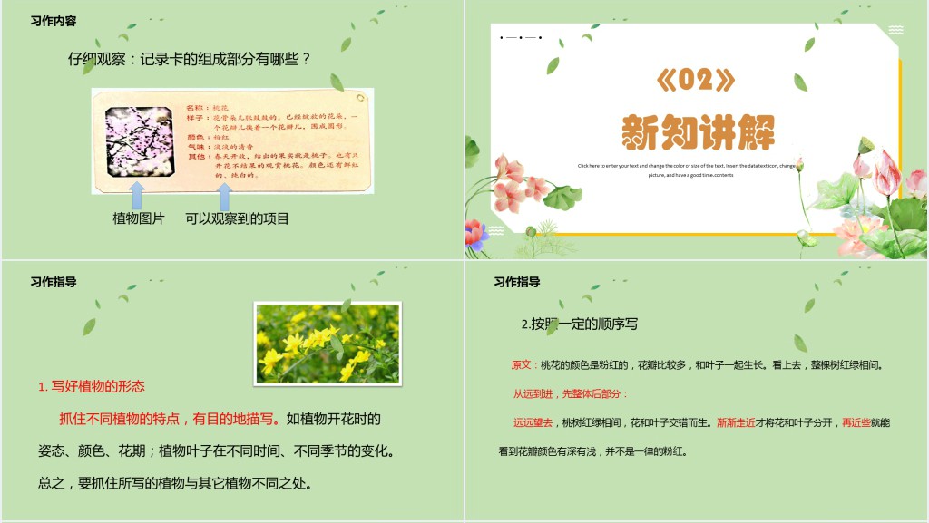 部编人教版小学三年级语文下册我的植物朋友习作PPT课件 部编人教版小学三年级语文下册我的植物朋友习作PPT课件