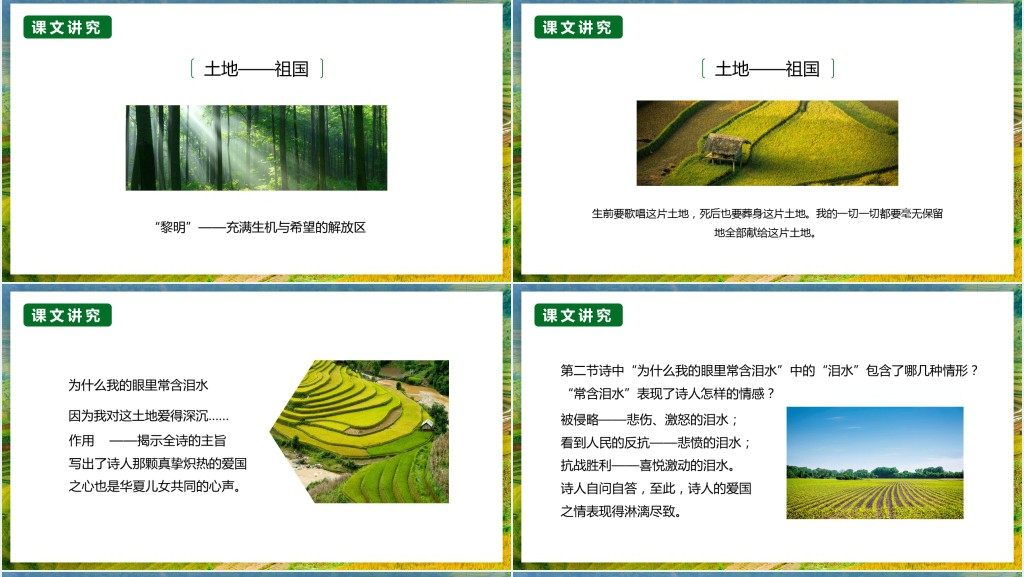 初二语文下册《我爱这土地》PPT课件 初二语文下册《我爱这土地》PPT课件