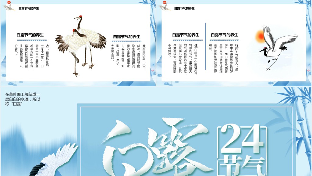 白露节气知识介绍PPT模板 白露节气知识介绍PPT模板